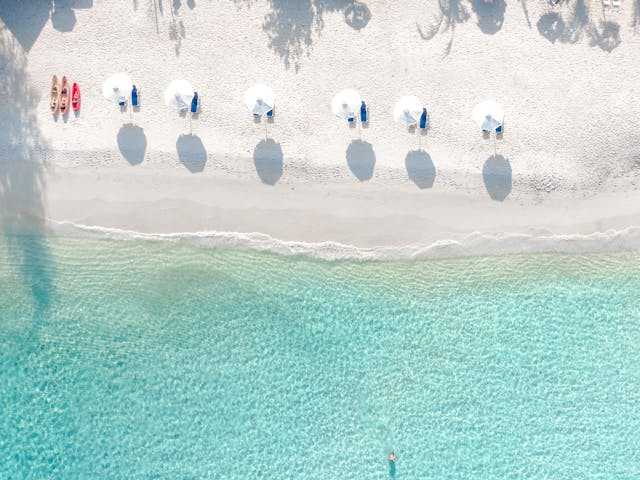 multiple umbrellas on a beach