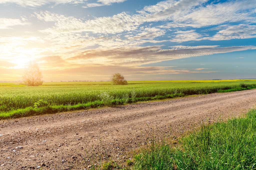 beautiful open field and dirt road with the sunrise