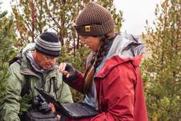 Pineforest seed collecting